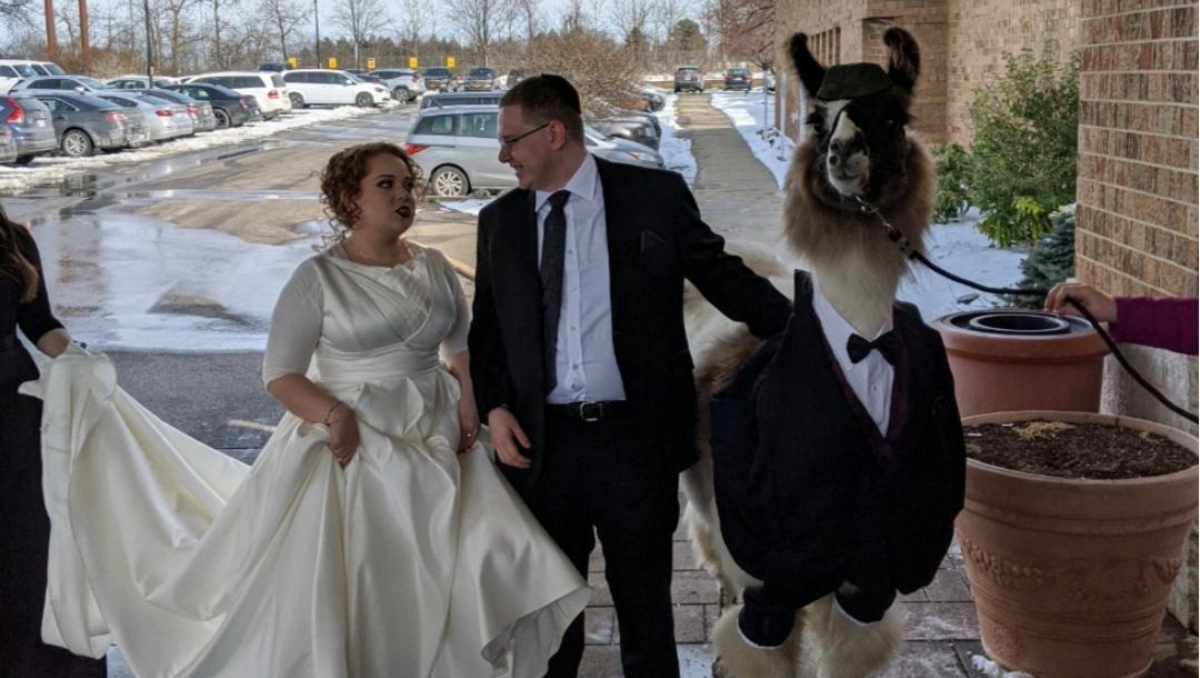 Mendl Weinstock and his sister Riva posing for a picture with Shocky the llama in Cleveland, Ohio on March 1, 2020. (Courtesy of Mendl Weinstock)