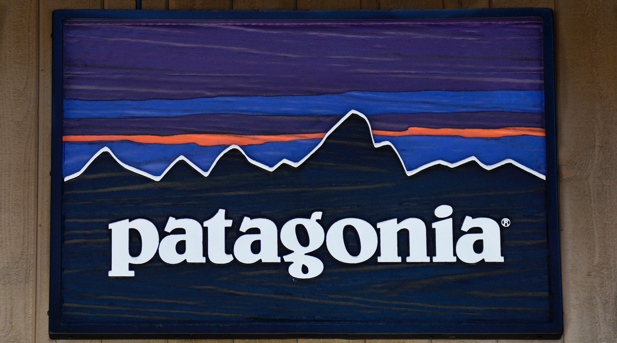 Patagonia is one of several major companies to sign onto an ADL-led boycott of Facebook ads. (Robert Alexander/Getty Images)