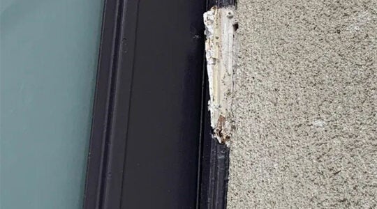 A piece of a broken mezizah hangs on the door frame of the Yismah Moché Synagogue in Paris, France on Aug. 14, 2020. (BNVCA)