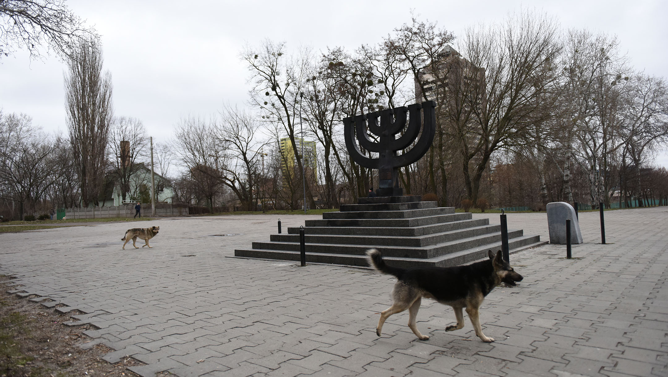 Stray dogs roam the Babyn Yar monument on March 14, 2016 in Kiev, where Nazis and local collaborators murdered 30,000 Jews in 1941. (Cnaan Liphshiz)