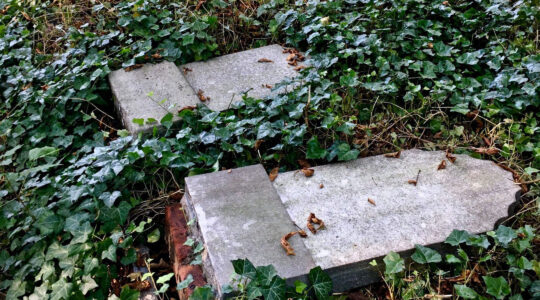 Toppled headstones at the Jewish cemetery of Zabrze, Poland on Sept. 11, 2020. (Dariusz Walerjański)