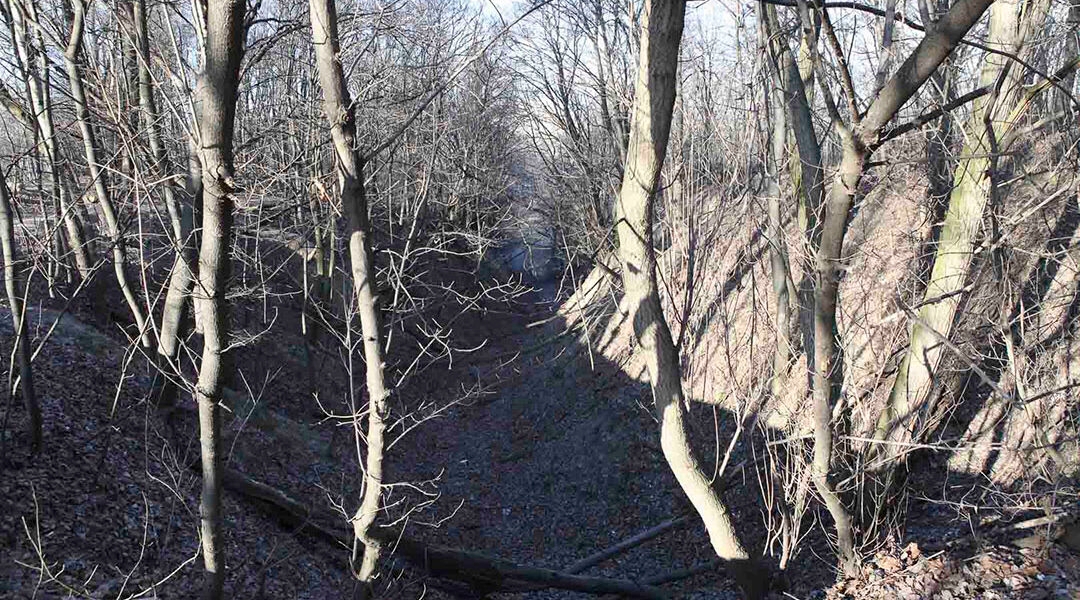 The Babyn Yar killing site in Kyiv, Ukraine is made up of dozens of ravines and ditches where the German occupation forces and their allies killed tens of thousands of Jews and non-Jews in September 1941. (Courtesy of the Babyn Yar Holocaust Memorial Center.)