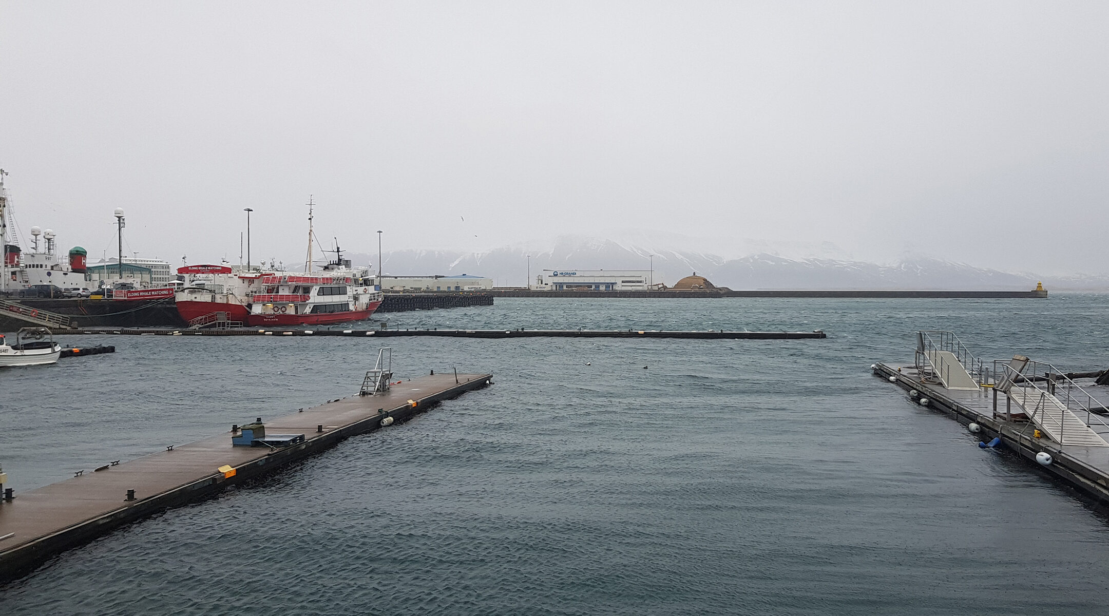 A cargo ship enters the port of Reykjavik, Iceland on March 26, 2018. (Cnaan Liphshiz)