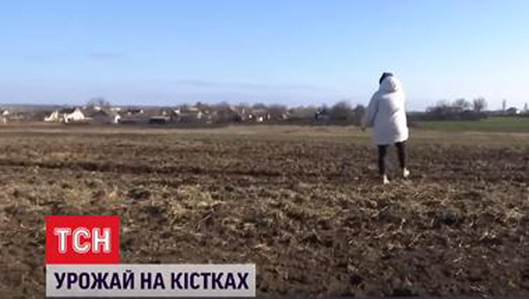 A woman stands in a field that used to be part of a Jewish cemetery in Hulyaipole, Ukraine in December 2021. (TCN)