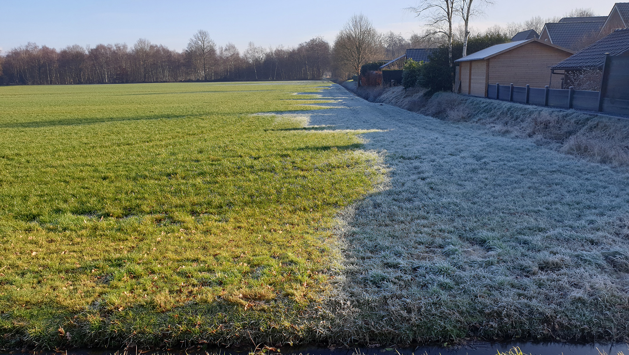 Frost recedes from the sunlight on the fields that divide the houses in the sprawling village of Nieuwlande, the Netherlands on Jan. 25, 2021. (Cnaan Liphshiz)