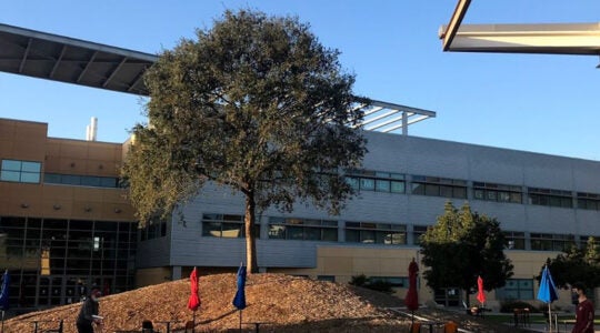 Students walk on campus at the California Polytechnic State University. (Google)