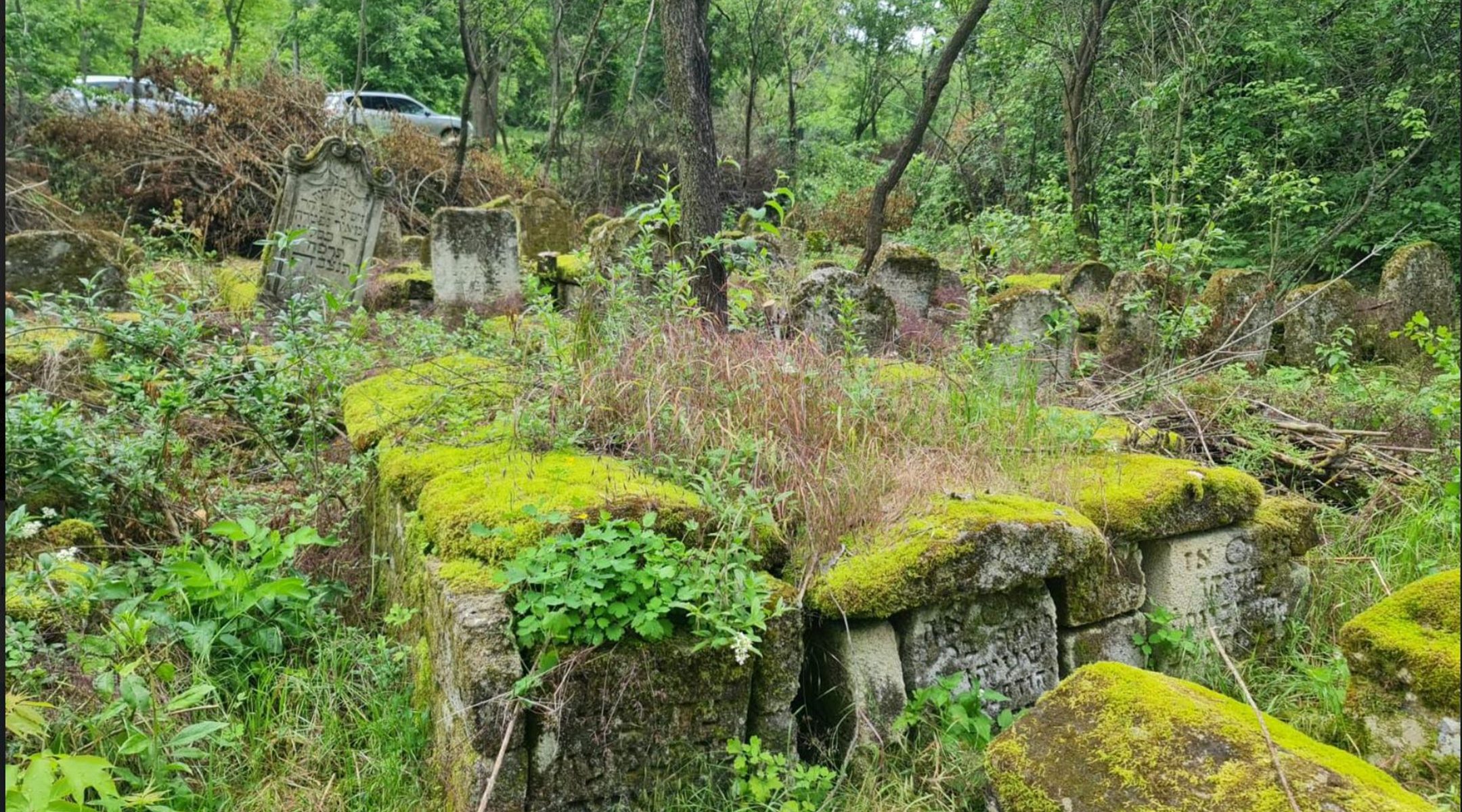The Jewish cemetery of Rascov, Transnistria. (Courtesy of Rabbi Pinchas Zaltsman)