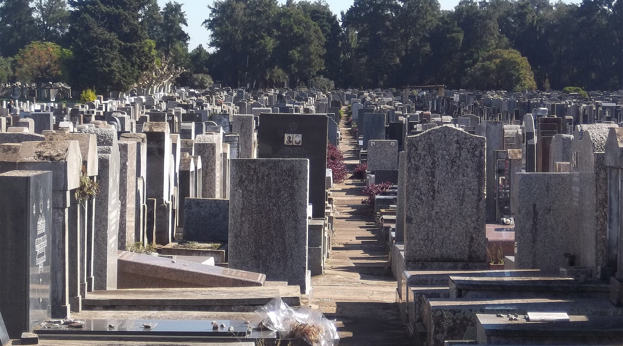 The Jewish cemetery of La Tablada in Buenos Aires, Argentina, pictured in 2013. (Wikimedia Commons/Dario Alpern)