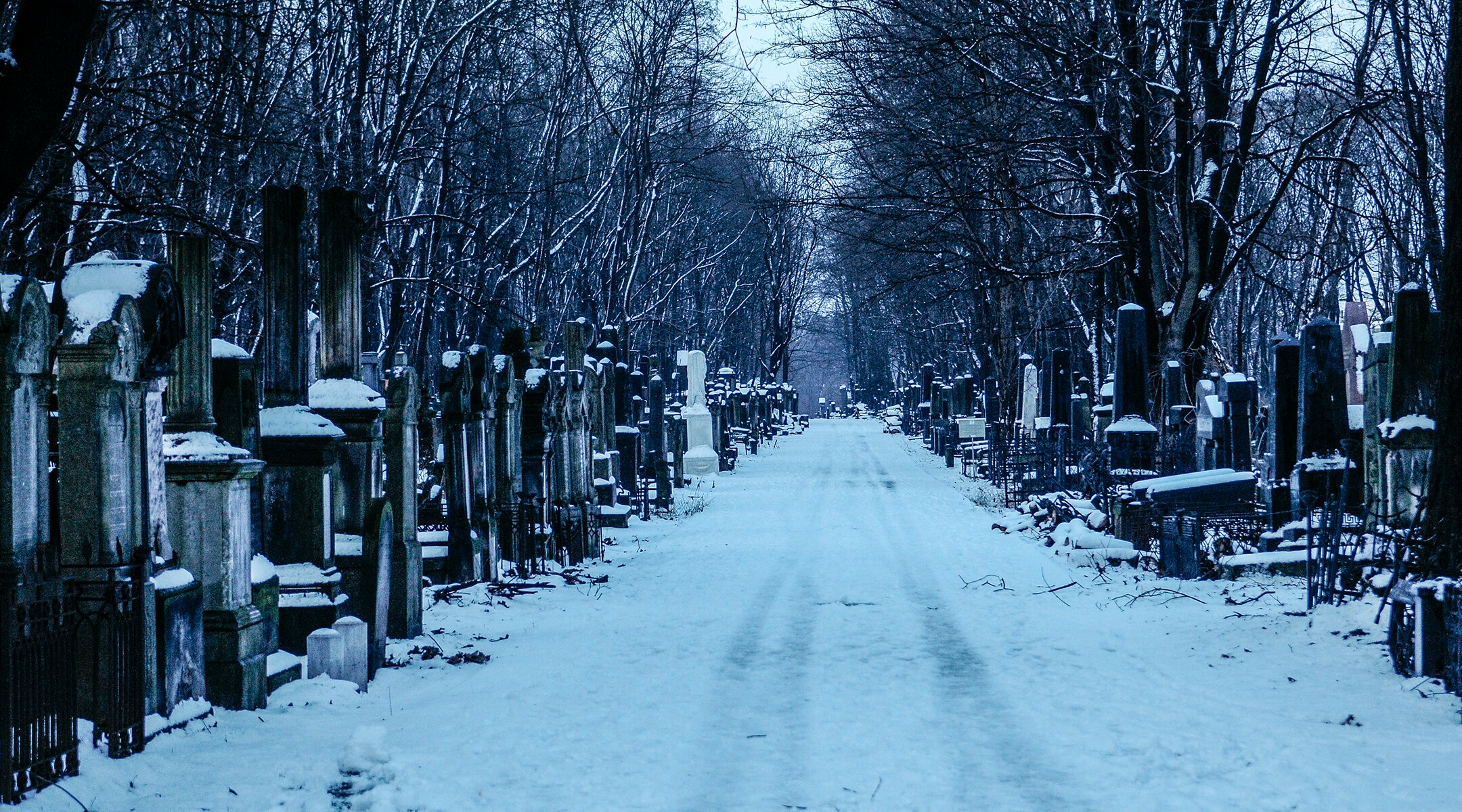 Snow falls on the Okopowa Street Jewish cemtery in Warsaw, Poland. (Jaap Arriens/NurPhoto via Getty Images)