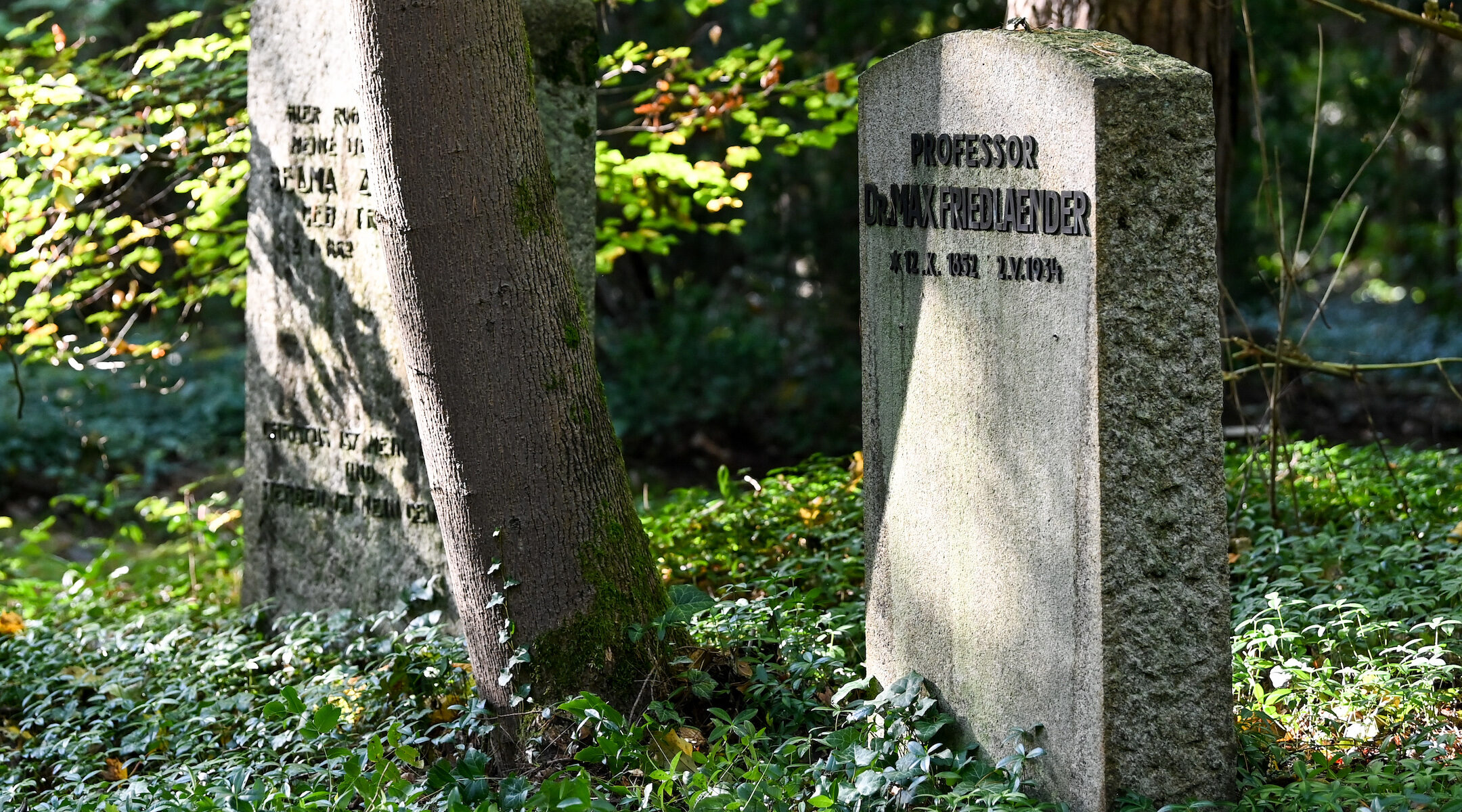 Friedländer grave Berlin neo-nazi