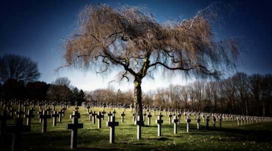 The cemetery of Ysselsteyn in the Netherlands, where Nazi SS troops are buried alongside Dutch civilians. (Ralf Klinkhammer/Getty Images)