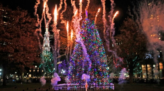 A Christmas tree lights up outside with fireworks