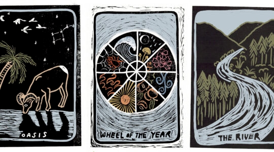 A series of tarot cards