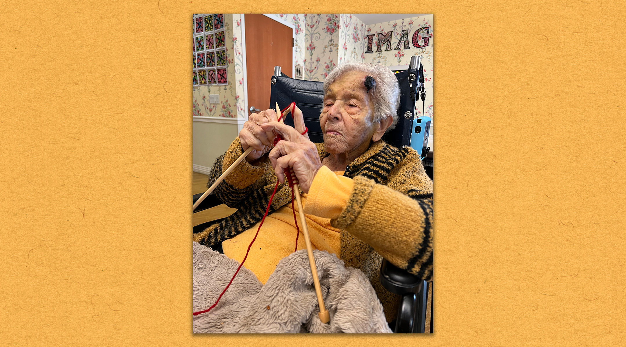  A Holocaust survivor spends her 110th birthday knitting — the craft that was key to her...