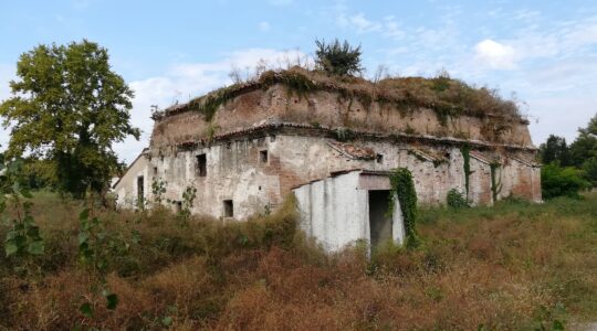 The Mantua armory covered in grass