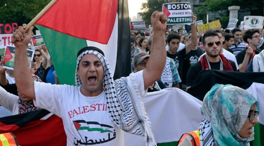 Pro-Palestinian demonstrators.