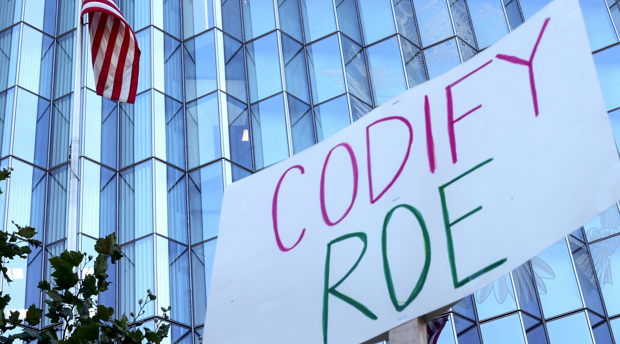 A sign reads "Codify Roe."