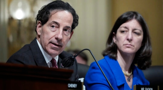 Rep. Jamie Raskin and Rep. Elaine Luria.