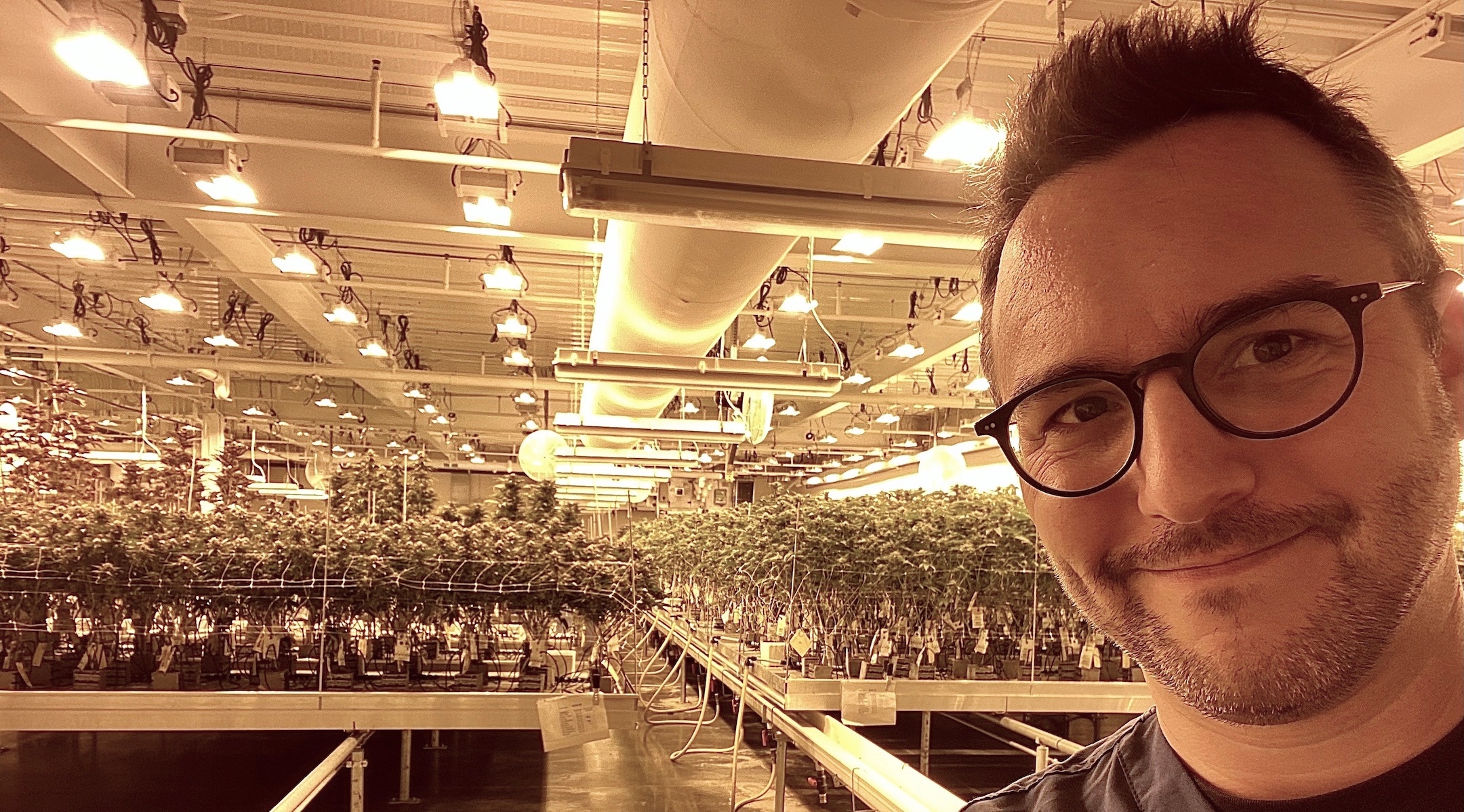 Meet the rabbi who is helping bring legal cannabis to New York 