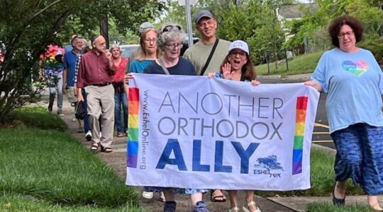 Orthodox Jews marching with pro-LGBTQ signs