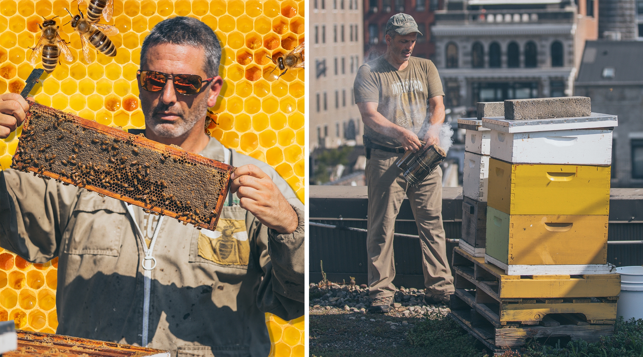 City Beekeeping ~ Honey for Health