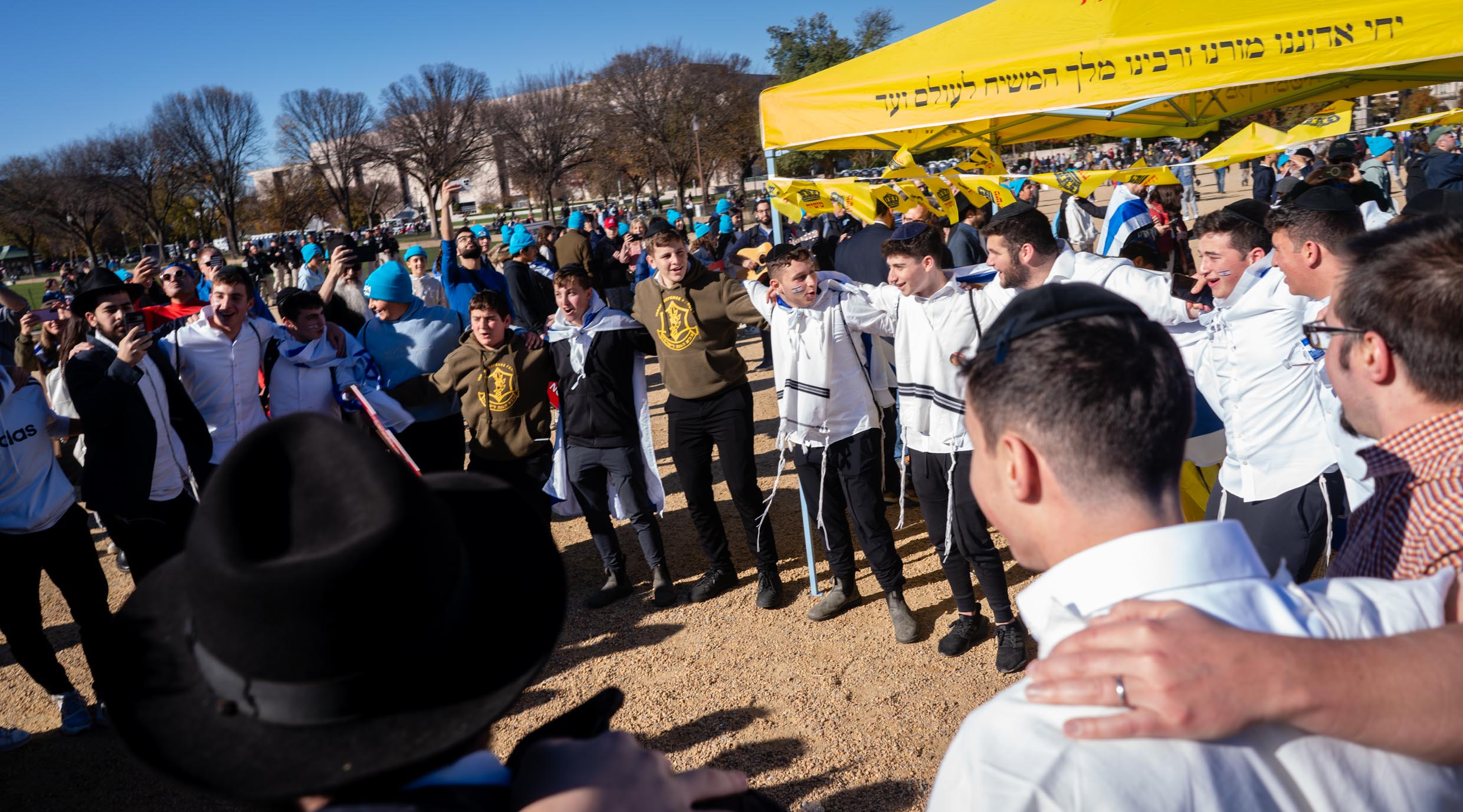 The March for Israel rally in Washington, D.C., November 14, 2023. (Luke Tress)