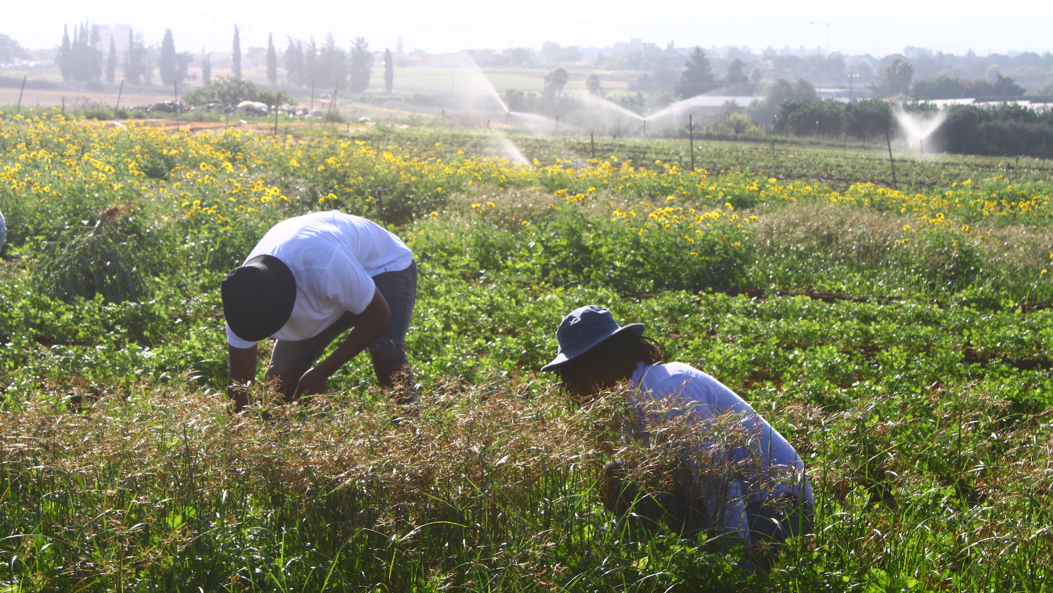 It’s not just Israeli Jews who were displaced by the Hamas attack