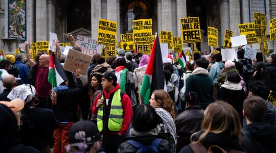Pro-Palestinian demonstrators at a rally near Bryant Park, November 9, 2023. (Luke Tress)
