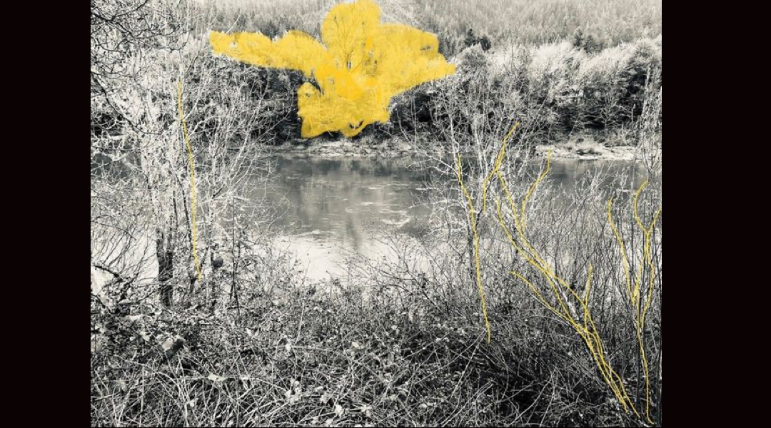 An artist's black-and-white rendering of a river with a splash of color