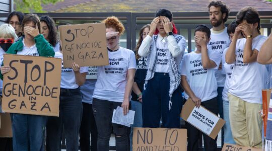 jewish anti-israel activists