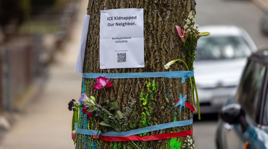 Ribbons and a stapled sign wrapped around a tree in a memorial