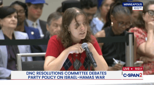 A photo of Allison Minnerly speaking into a microphone on C-Span.