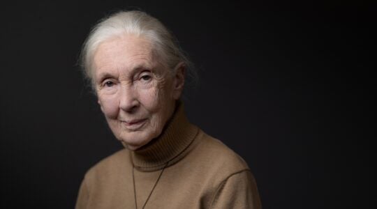 A photo of Jane Goodall